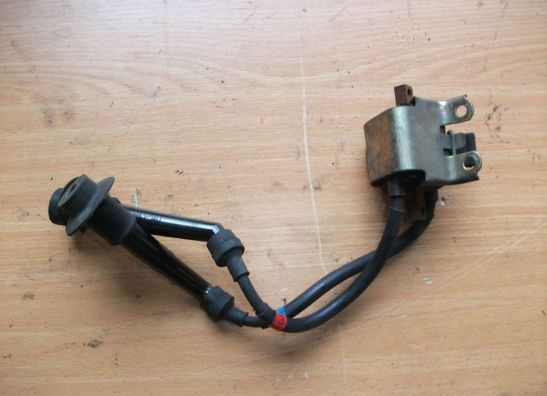 Ignition Coil Yamaha FZR 600