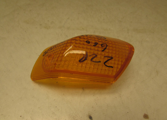 Blinker Kawasaki ZZR 600