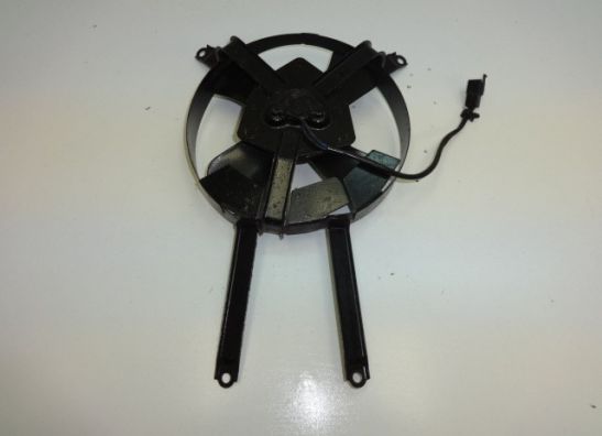 Fan Kawasaki ZXR 750