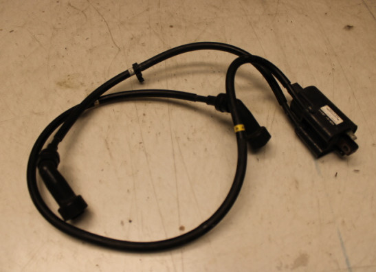 Bobine Yamaha XJ 900 S Diversion
