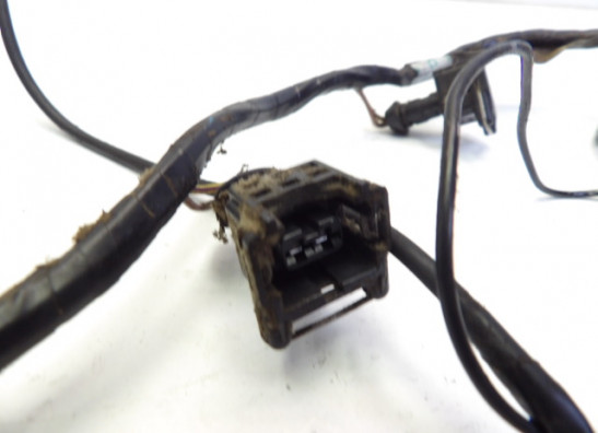 Wire harness front Triumph Sprint RS