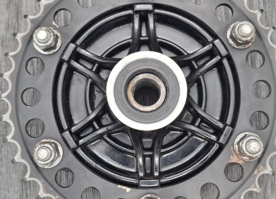 Tandwieldrager BMW F 800 GS