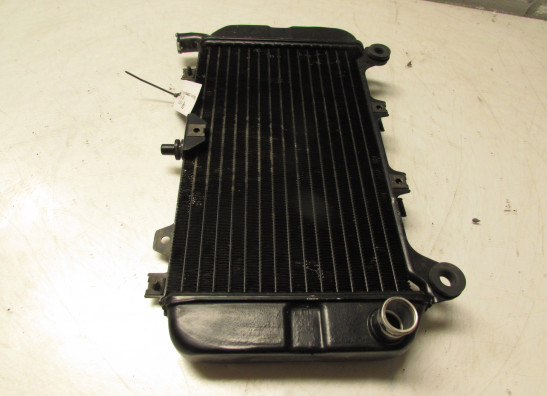 Kuhler Kawasaki ZZR 600