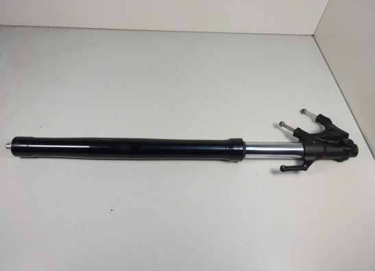 Standrohr Gabelholm rechts komplett Yamaha MT 09