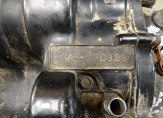 Motorblock Yamaha YX 600 Radian