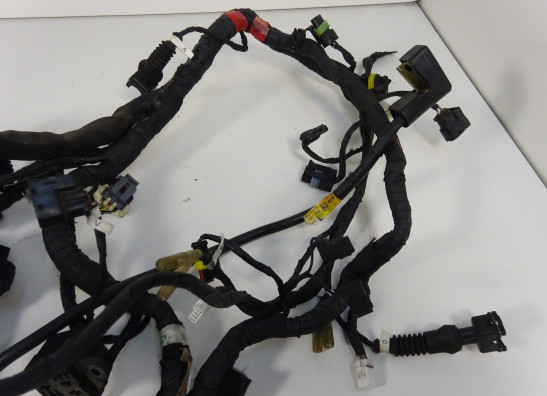 Kabelboom Ducati monster 796