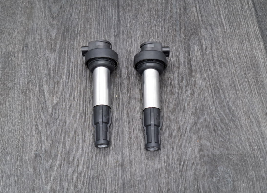 Ignition Coil BMW F 900 XR