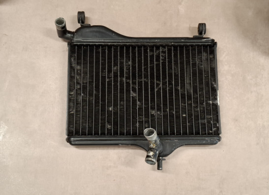 Radiator Yamaha RD 350 LC