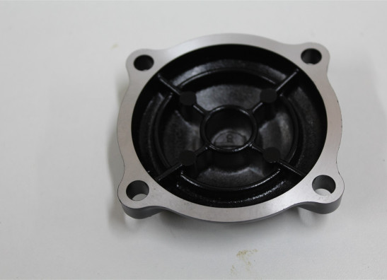 Engine cover Triumph Tiger 800