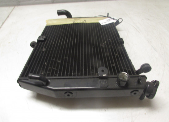 Kuhler Yamaha YZF R1