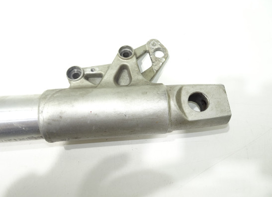 Voorpoot links compleet BMW R 1200 GS