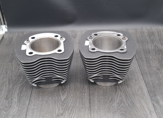 Cilinderkop Harley Davidson FLSTF Fat Boy