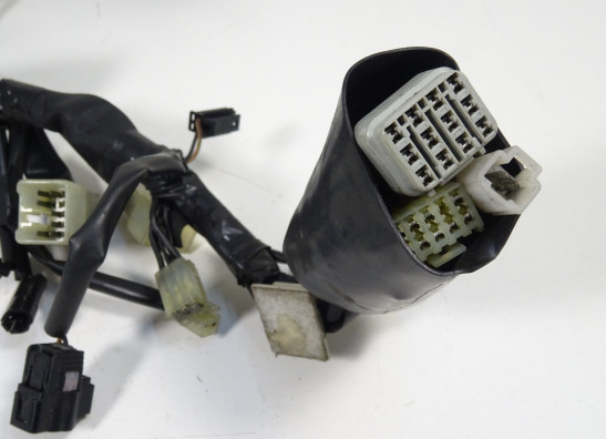 Kabelboom voor Yamaha FJR 1300