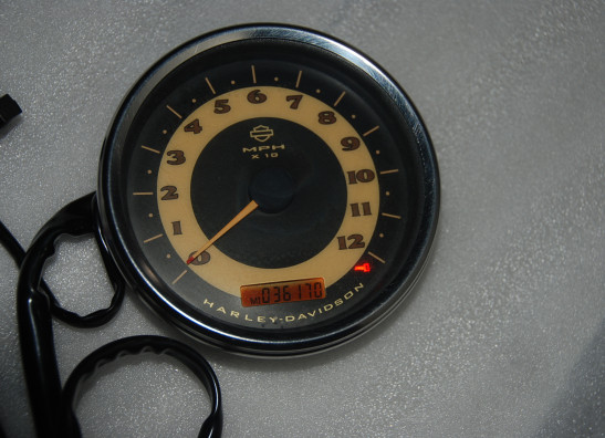 Teller Harley Davidson Softtail