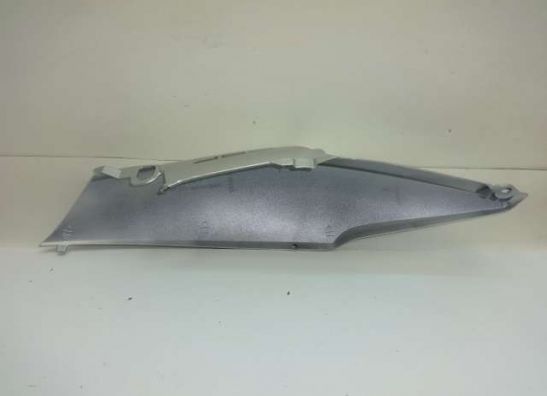 Heck links Honda CBF 600