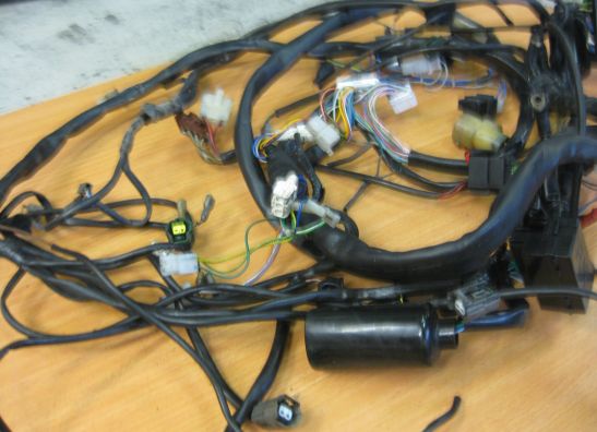 Kabelboom Aprilia RSV 1000