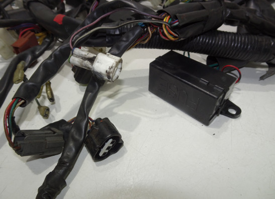 Wire Harness Aprilia Falco