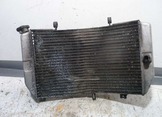 Radiateur Suzuki GSX R 600