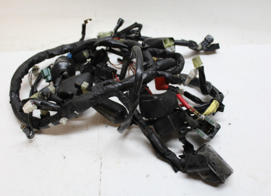 Wire Harness Yamaha XJ 600 Diversion