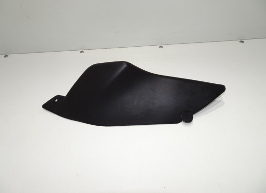 Rechter zijkuip klein BMW R 1150 R 2001-2005