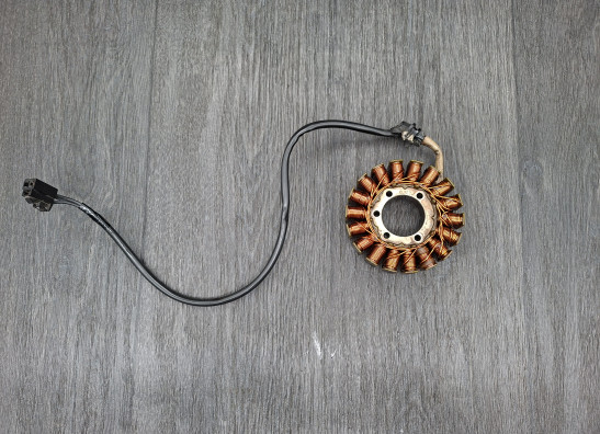 Dynamo Triumph Tiger 1050