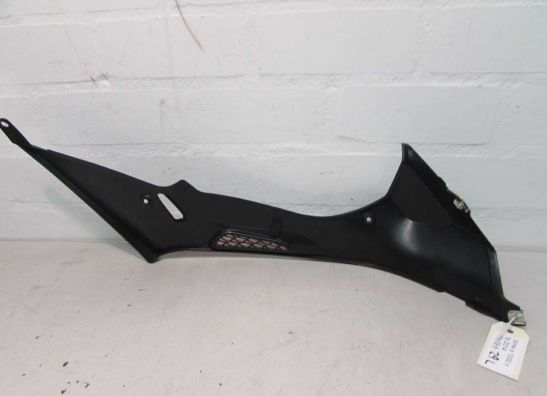 Tankschutz BMW S 1000 RR