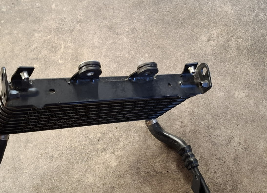 Oliekoeler BMW R Nine T Pure