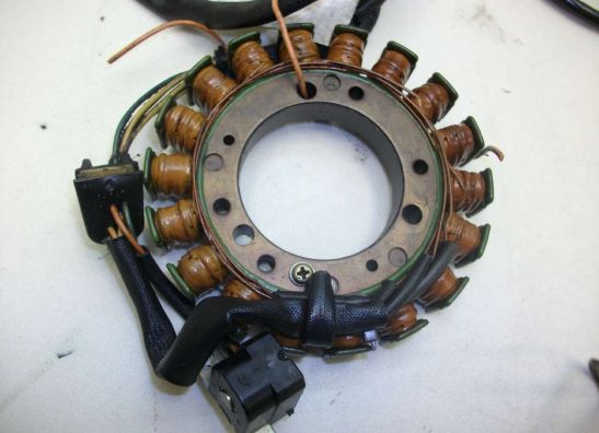 Dynamo Suzuki LS 650