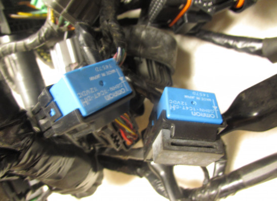 Wire Harness Kawasaki GTR 1400