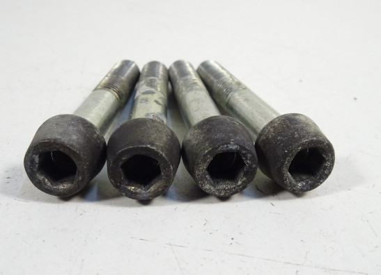 Remklauwen Ducati monster 696