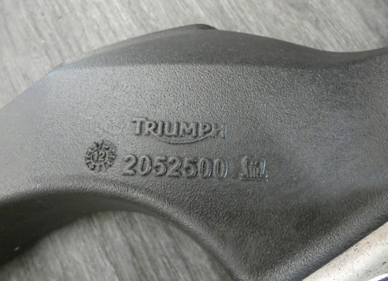 Hinterradschwinge Triumph Tiger 800