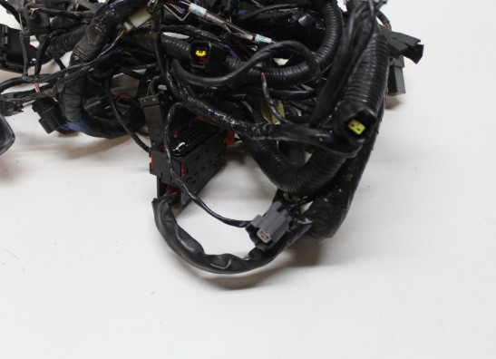 Kabelboom Triumph Sprint GT 1050