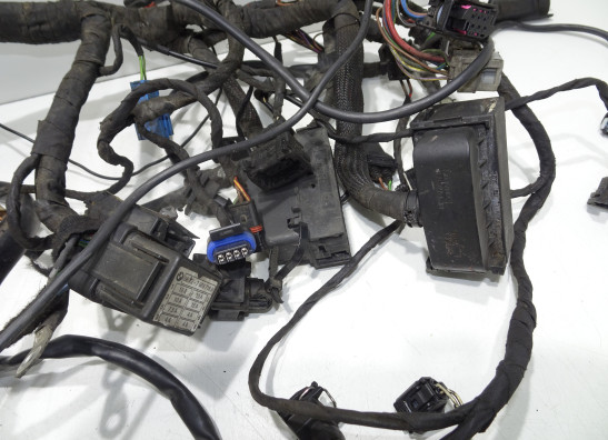 Kabelboom BMW F 650 GS