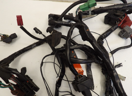 Kabelboom Honda CBF 1000