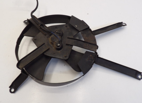 Fan Kawasaki ZXR 750