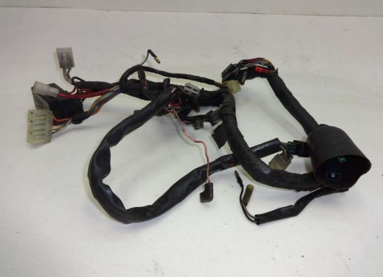 Wire Harness Yamaha XJ 600 Diversion