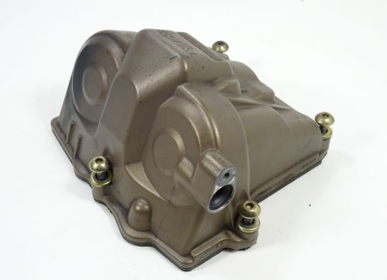 Kleppendeksel Aprilia RSV 1000