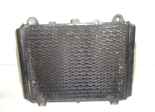 Radiator Kawasaki GPX 600