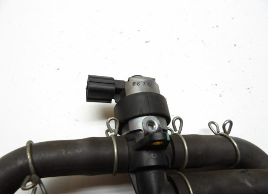 Sonstiges Honda CBR Fireblade