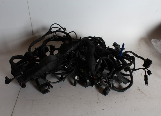 Kabelboom BMW S 1000 R 2021-2022