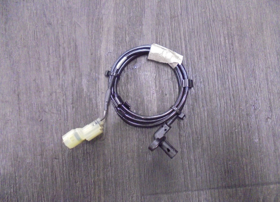 ABS sensor fuhler hinten Triumph Tiger 900 Rally Pro