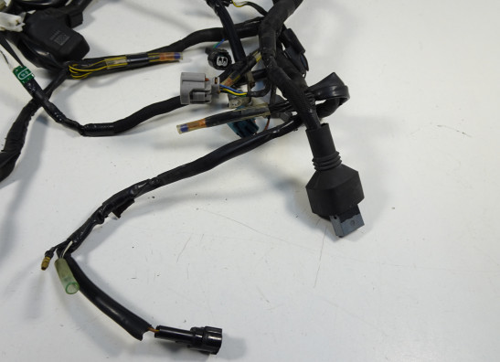 Wire Harness Kawasaki VERSYS 1000