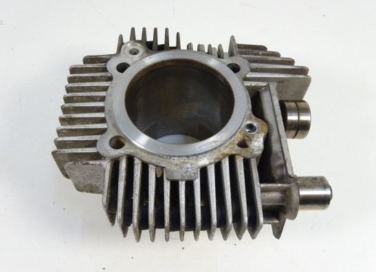 Cilinderblok Ducati monster 600