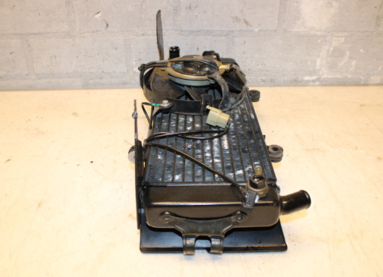 Radiateur Honda CBR 600 F