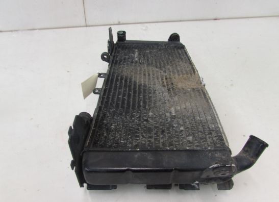 Radiator Honda CBR 600 F