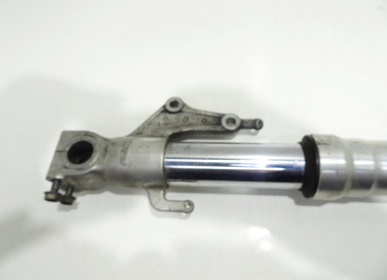 Standrohr Gabelholm links komplett Ducati 749  999