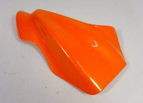 Kanzel links Kawasaki ER 6