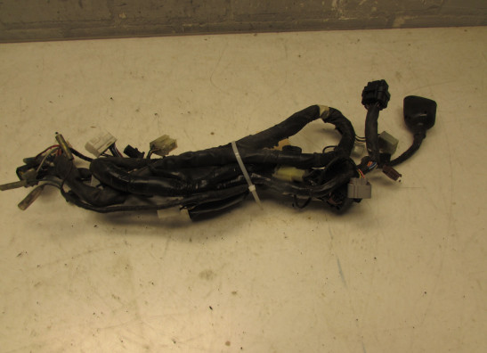 Wire Harness Yamaha FAZER 1000