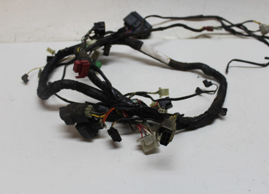 Kabelbaum Kawasaki ER 5