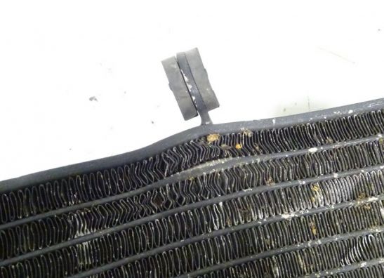 Radiator Honda CBR Fireblade